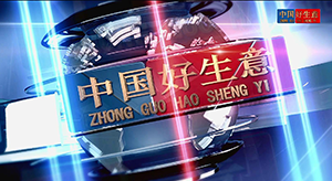 阿桂嫂餐饮招商加盟片